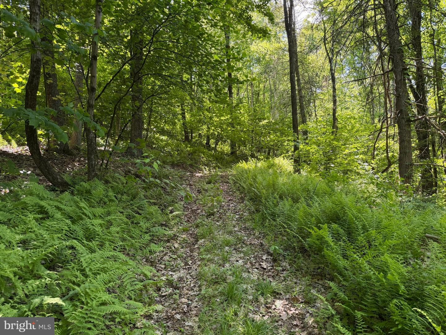 580 Fairview Road photo 29