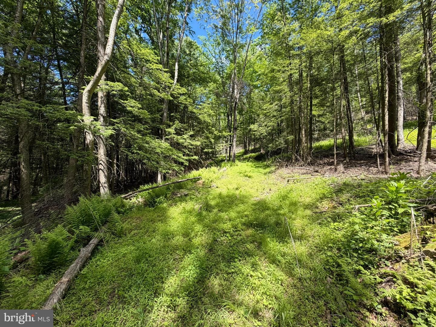 580 Fairview Road photo 30