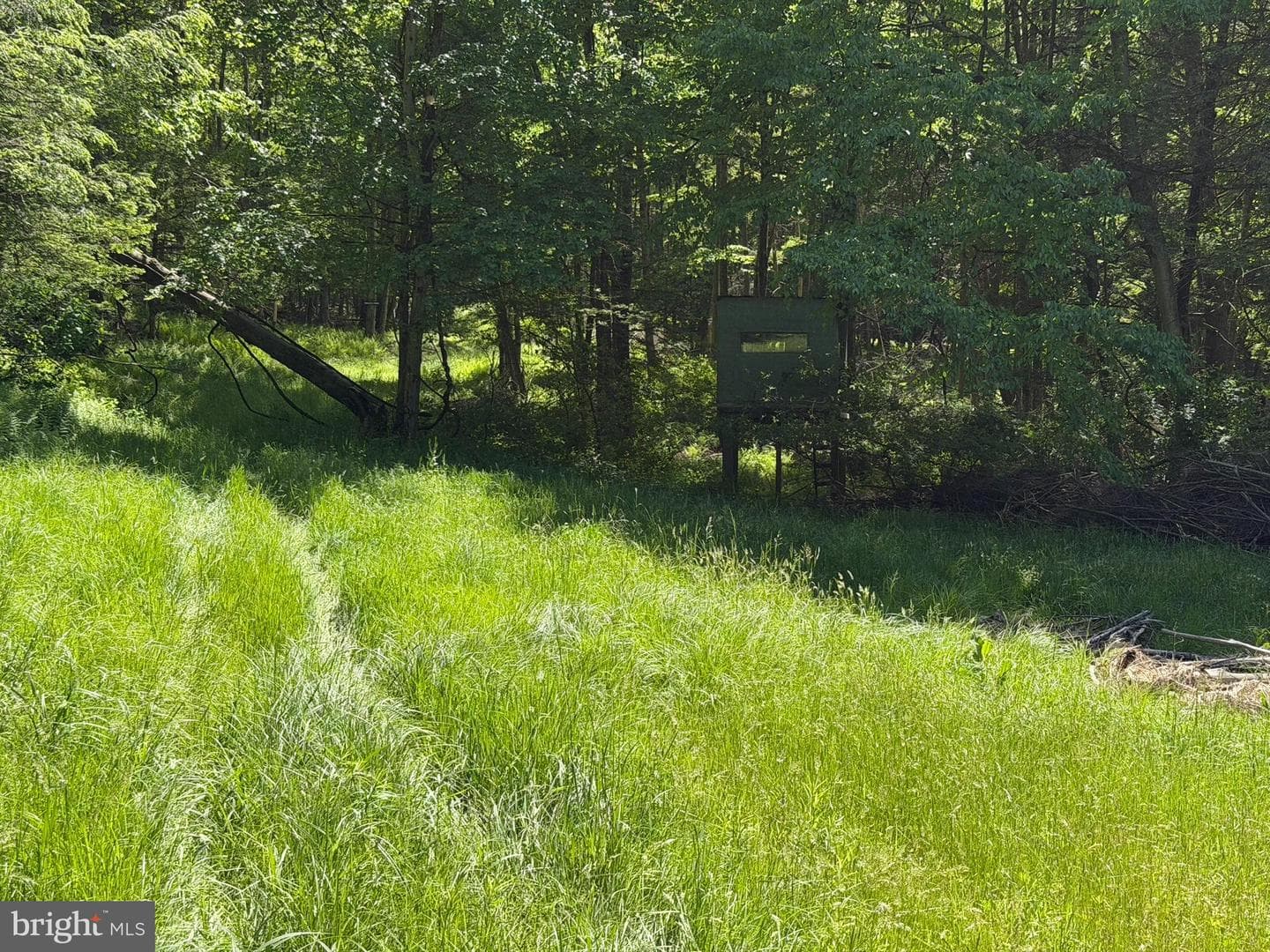 580 Fairview Road photo 31