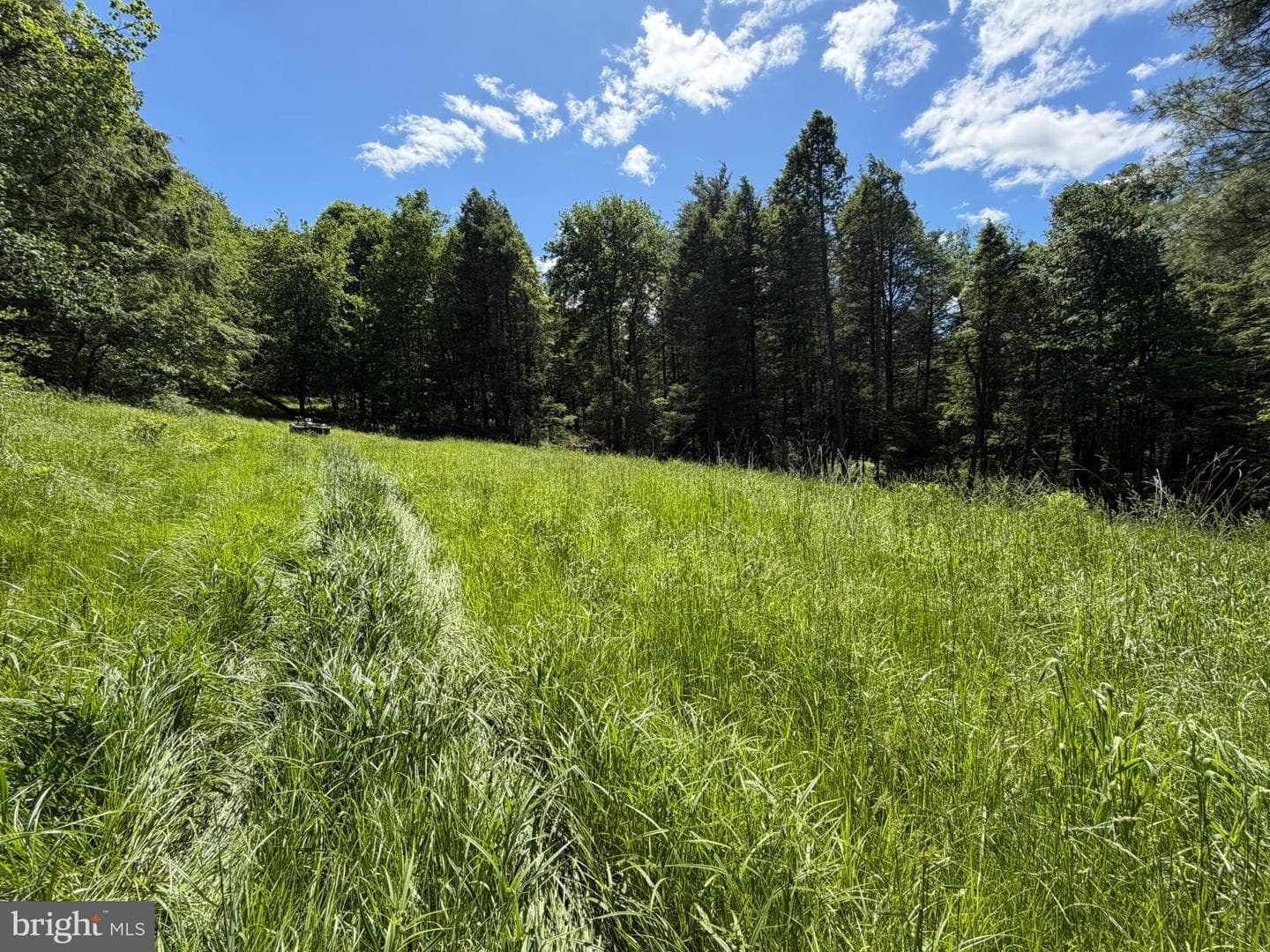 580 Fairview Road photo 33