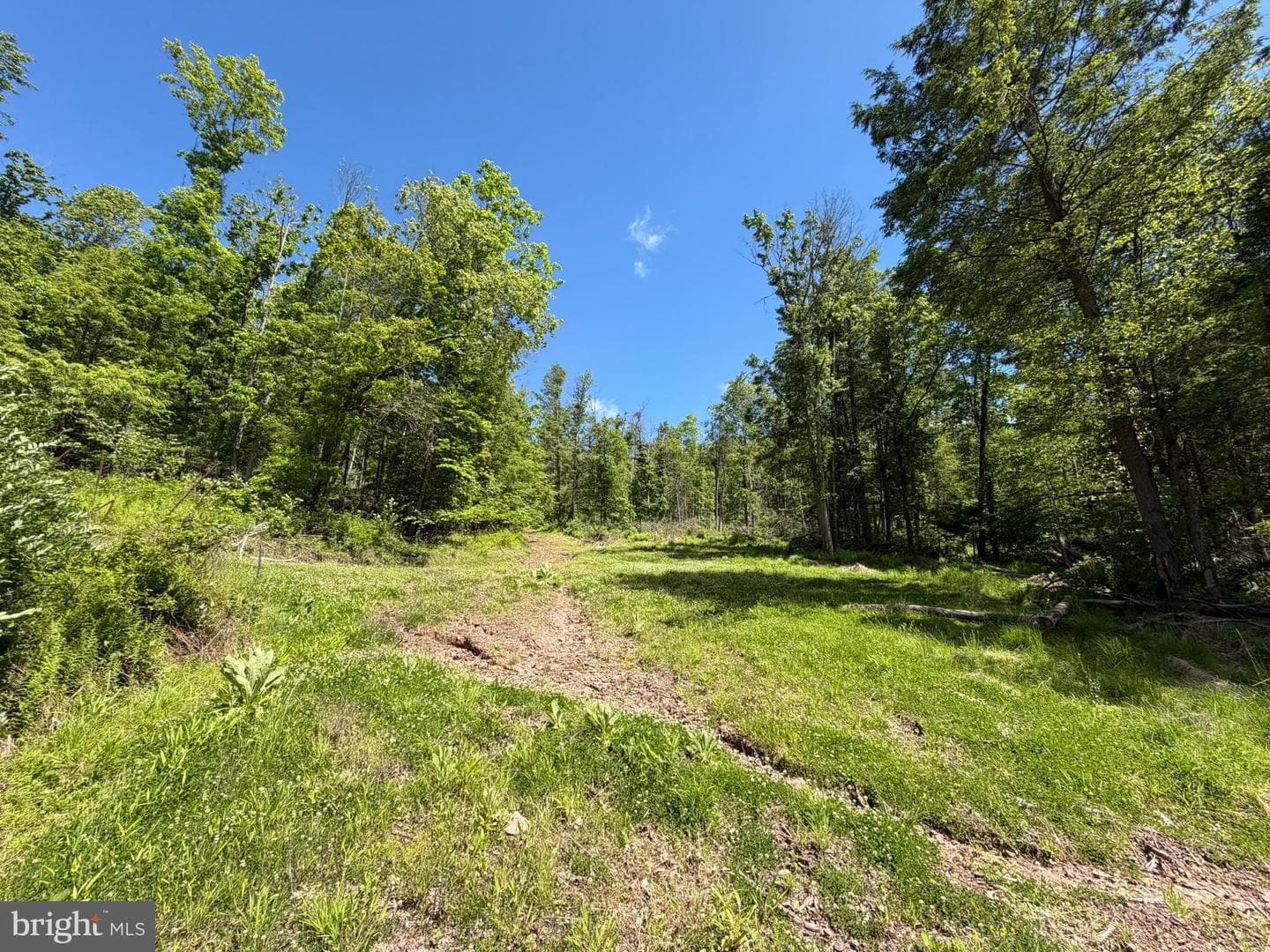 580 Fairview Road photo 34