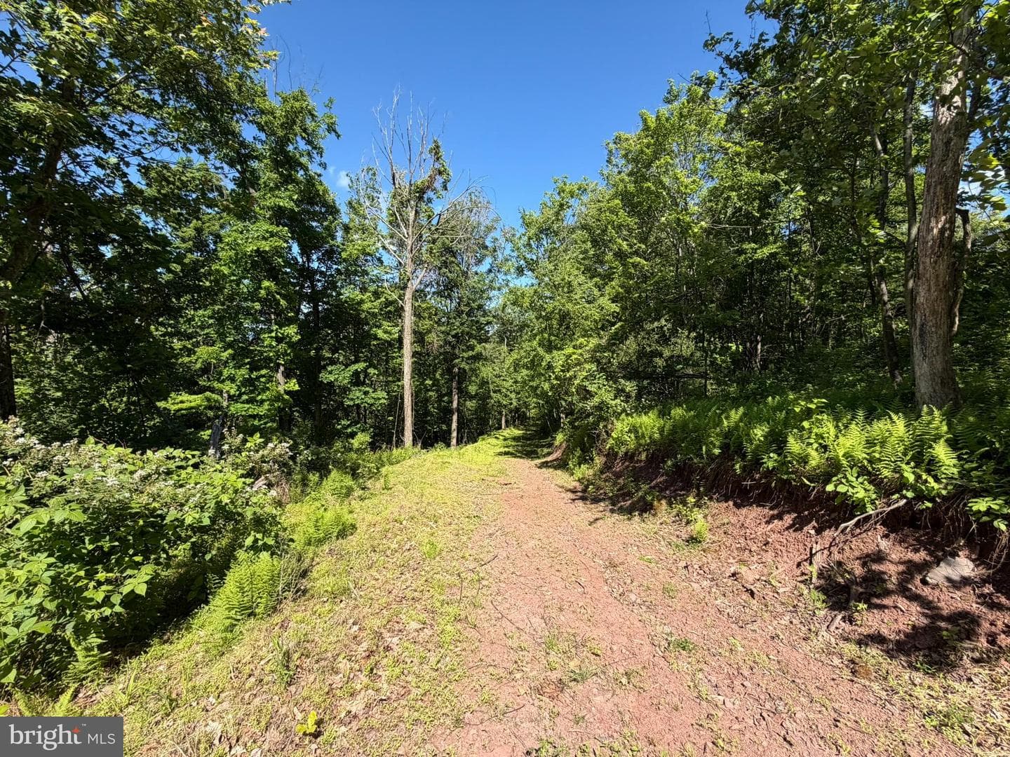 580 Fairview Road photo 37