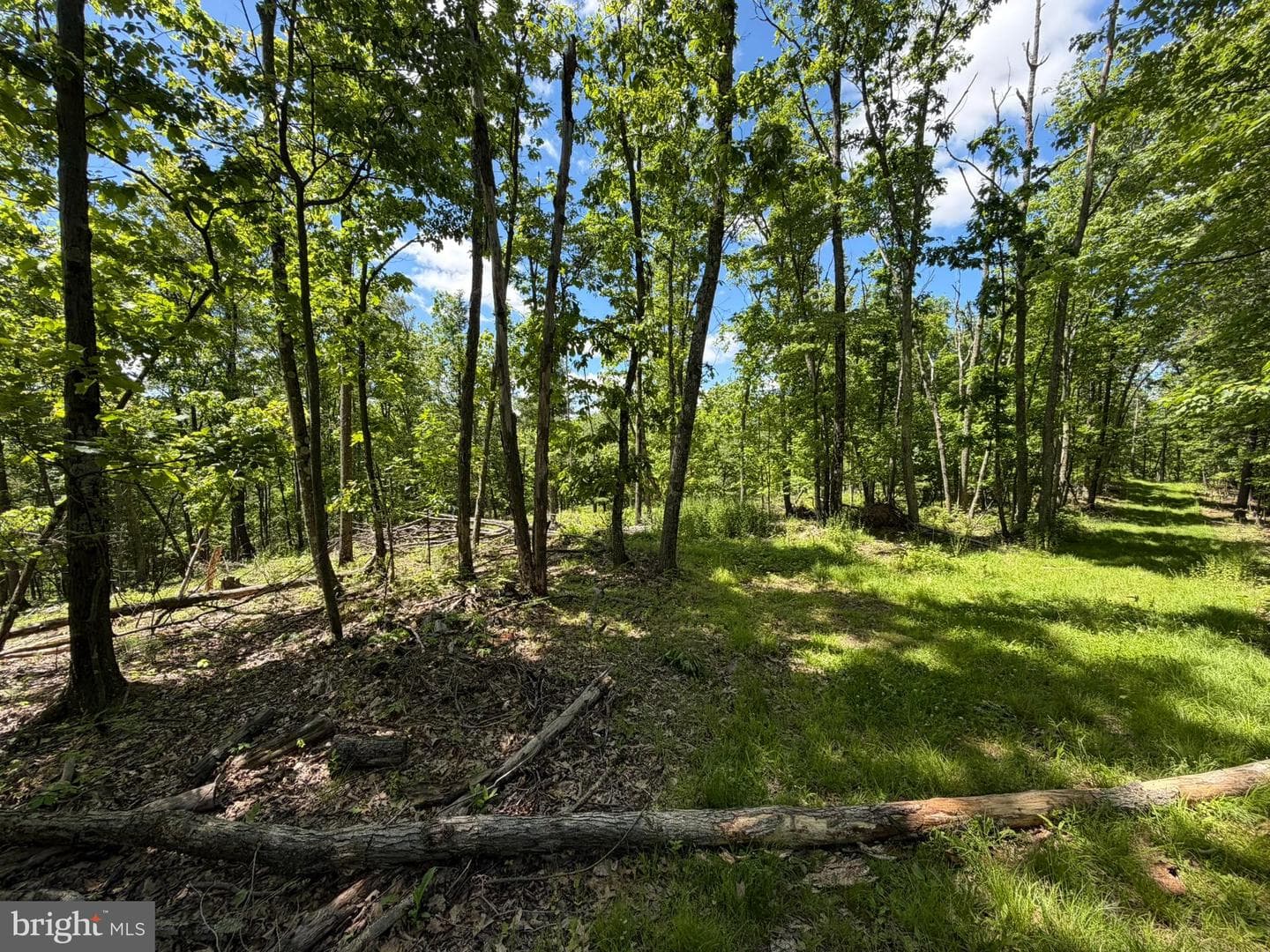 580 Fairview Road photo 38