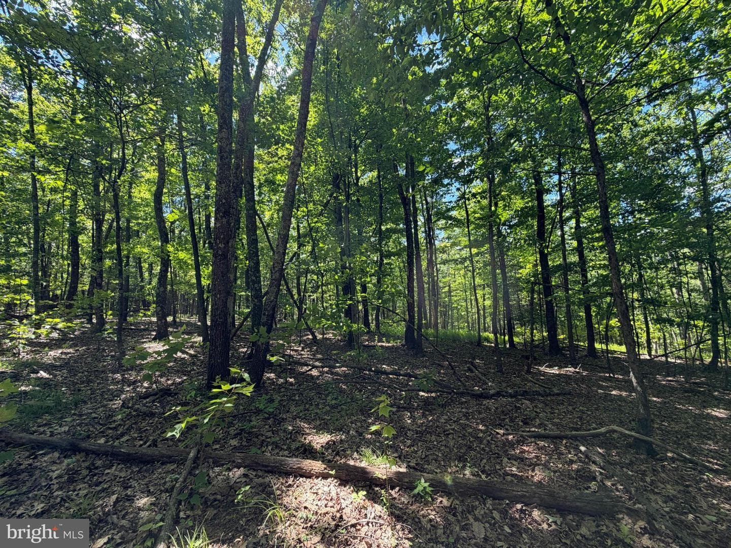 580 Fairview Road photo 40