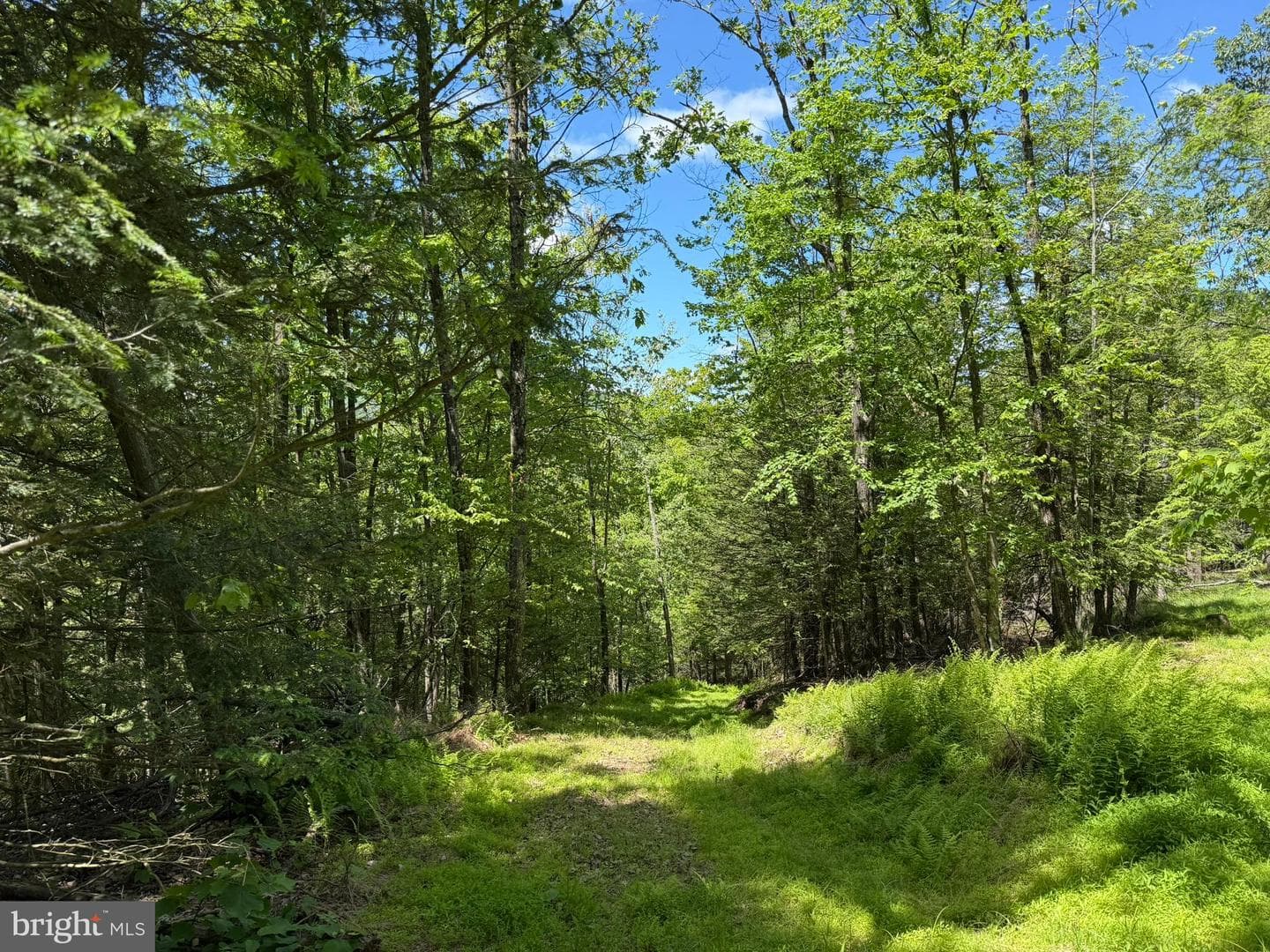 580 Fairview Road photo 41