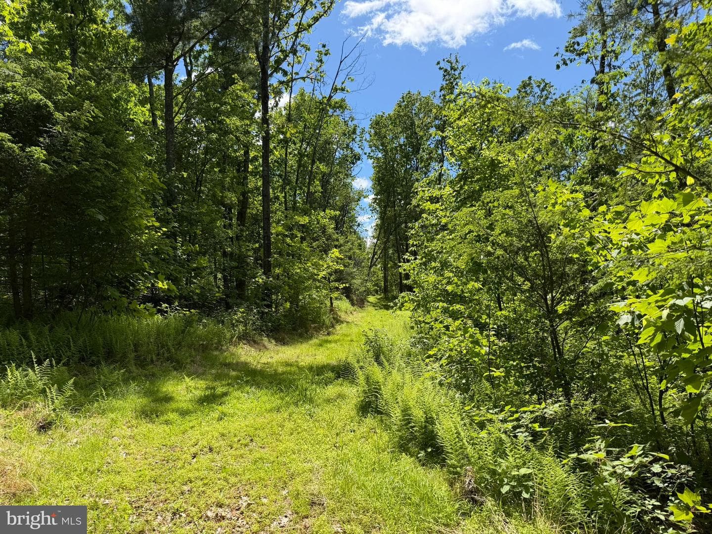 580 Fairview Road photo 42