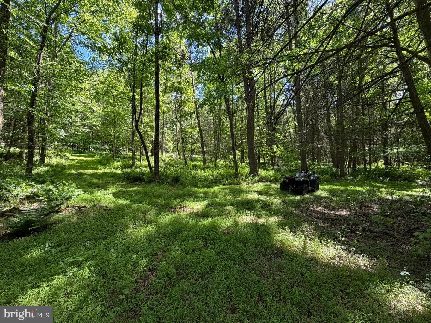 580 Fairview Road photo 44