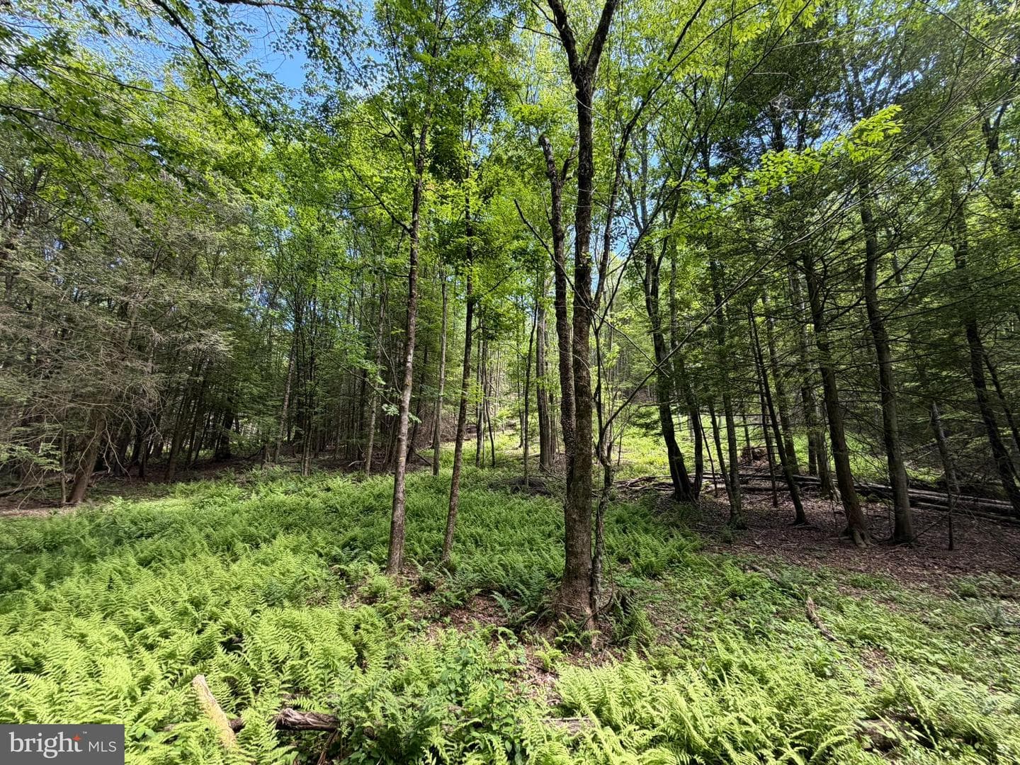 580 Fairview Road photo 46