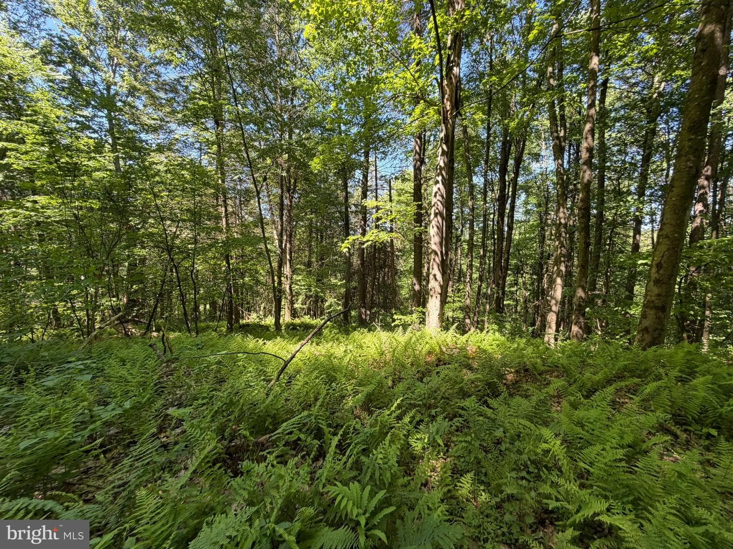 580 Fairview Road photo 48
