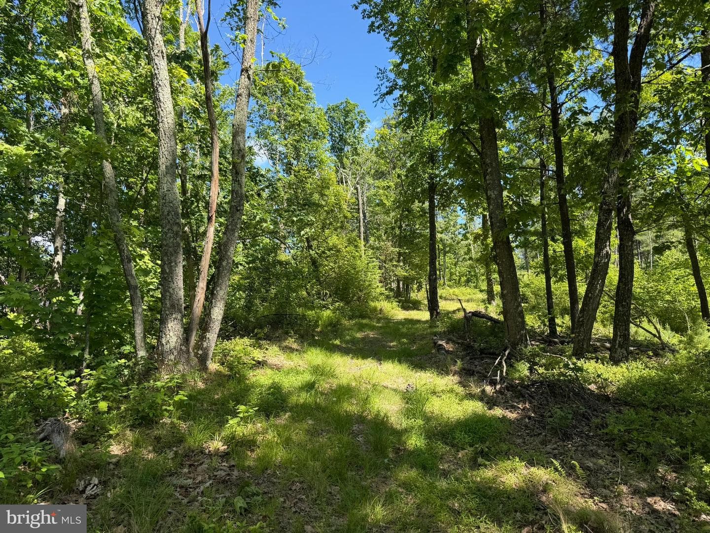 580 Fairview Road photo 50