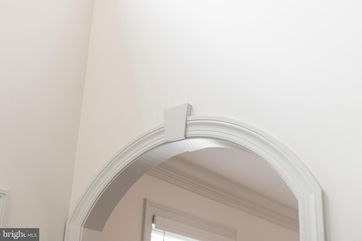 120 Meadowsweet Drive photo 13