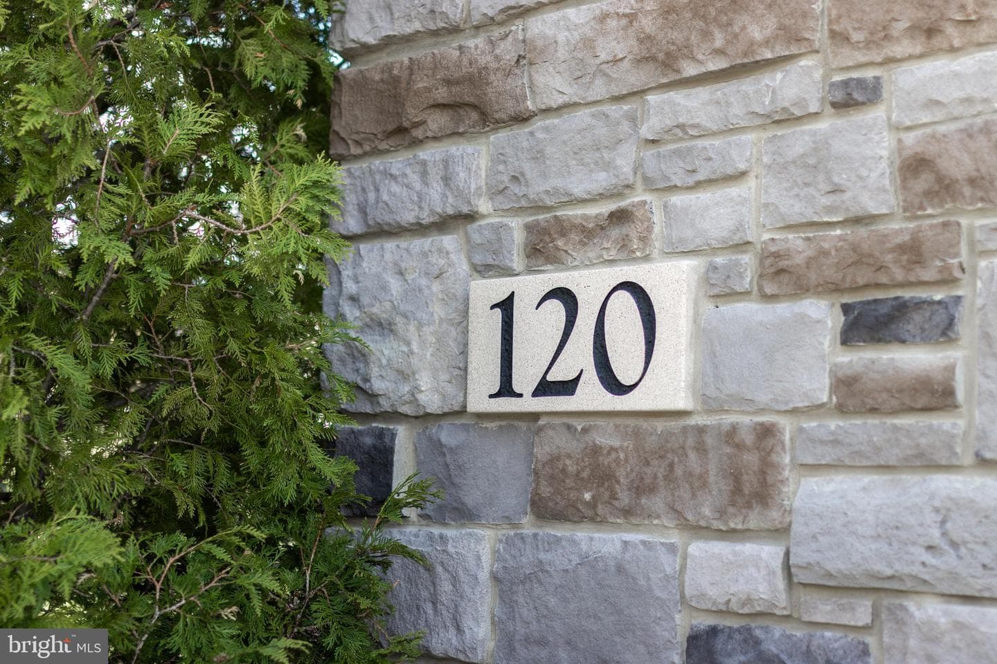 120 Meadowsweet Drive photo 7