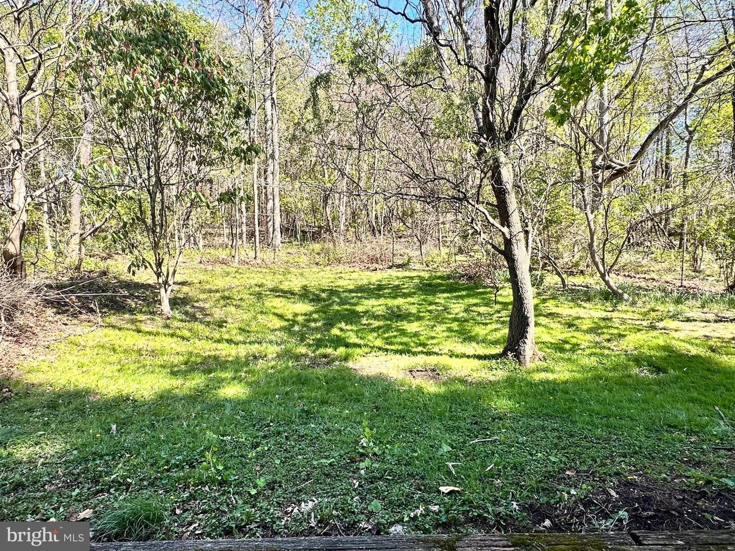 363 Matilda Avenue photo 14