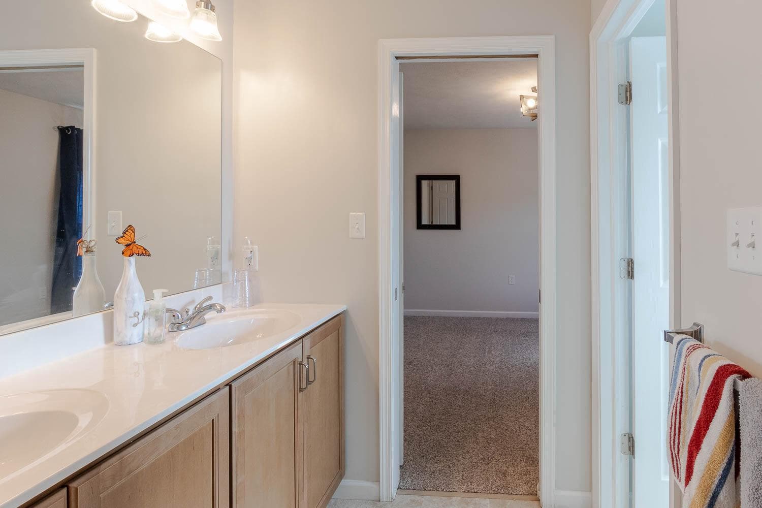 107 Shady Hollow Drive photo 18