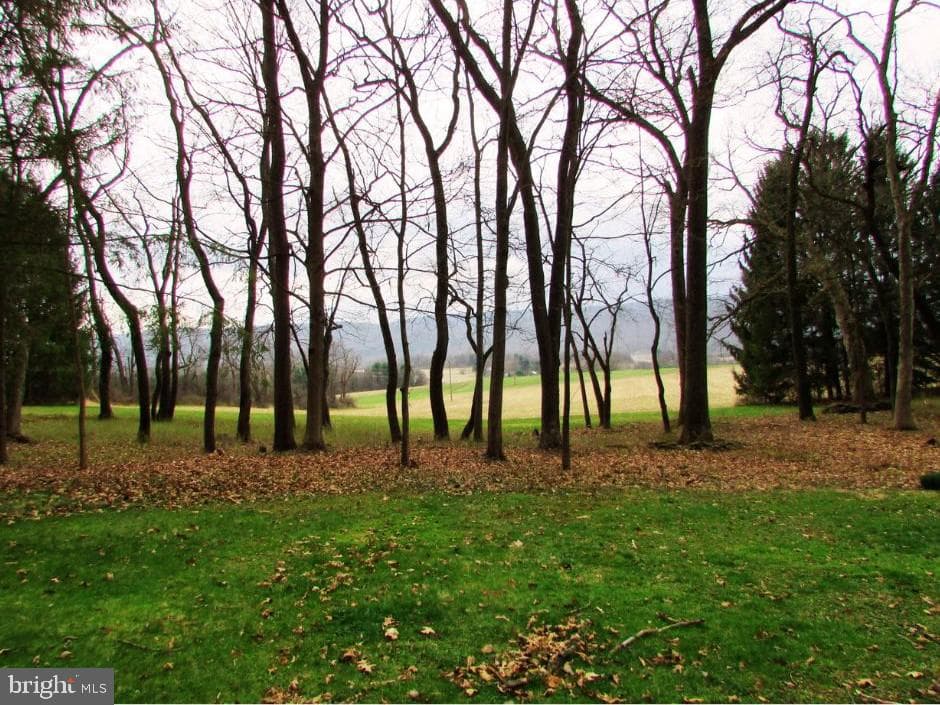 200 Tall Oaks Drive photo 81