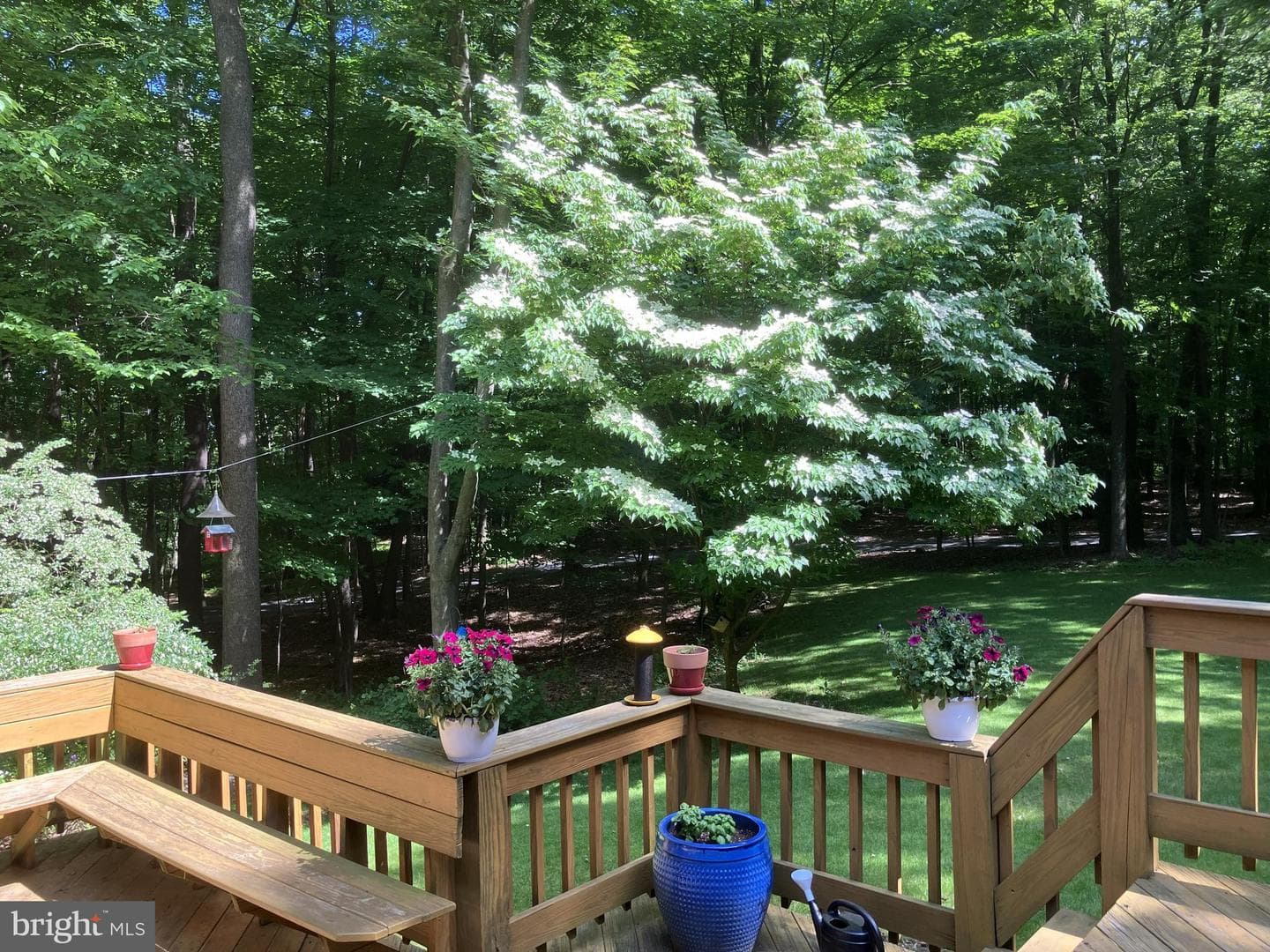 215 Woodpecker Lane photo 78