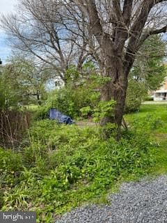 205 Adams Street photo 16
