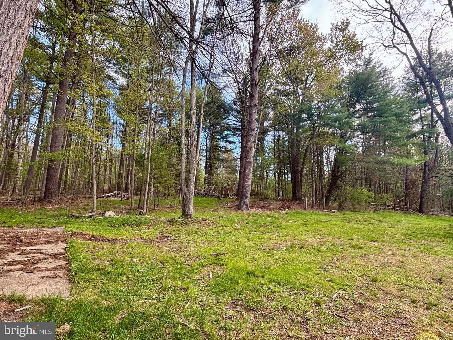 675 Elm Road photo 41