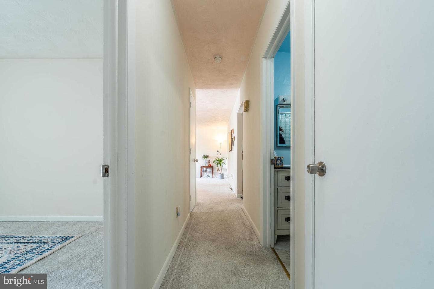 2056 Chelsea Lane photo 23