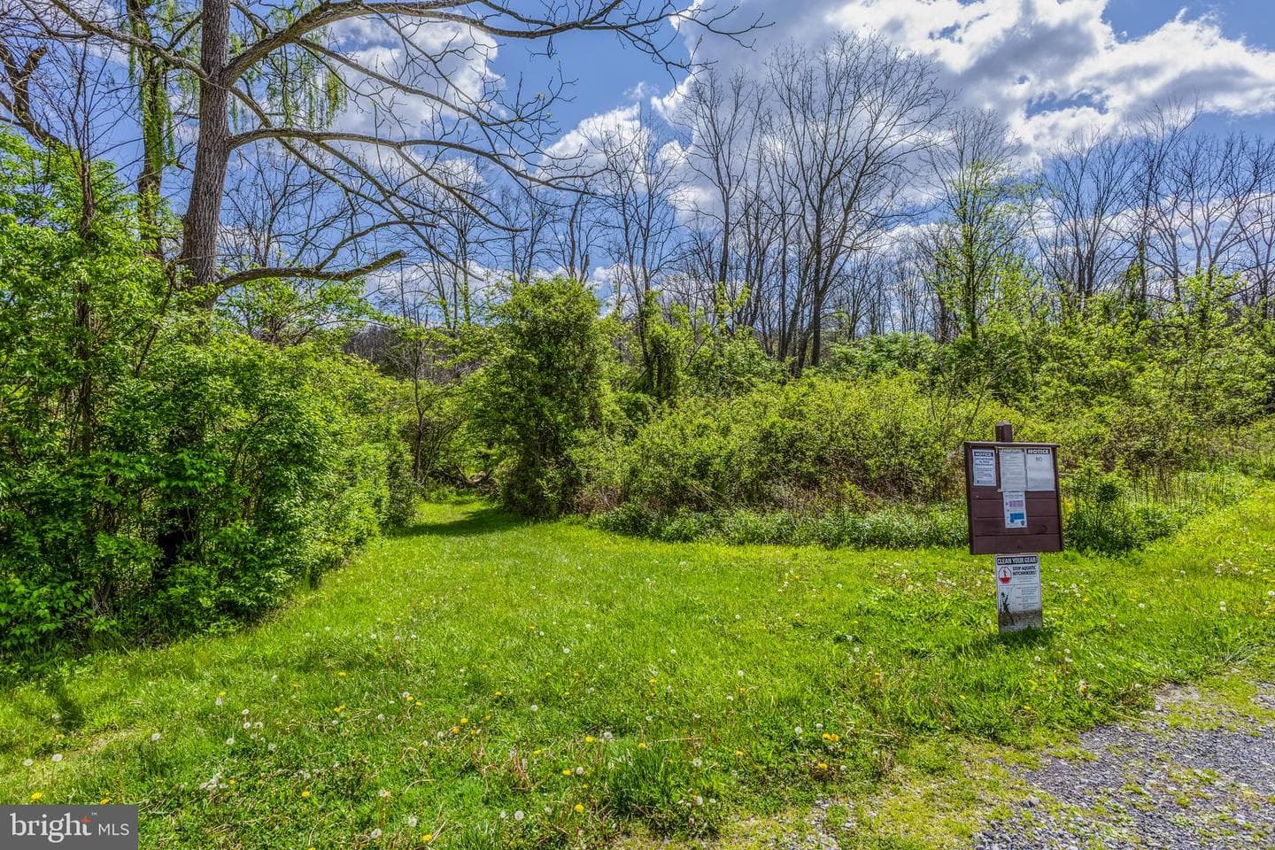 245 Seibert Road photo 22