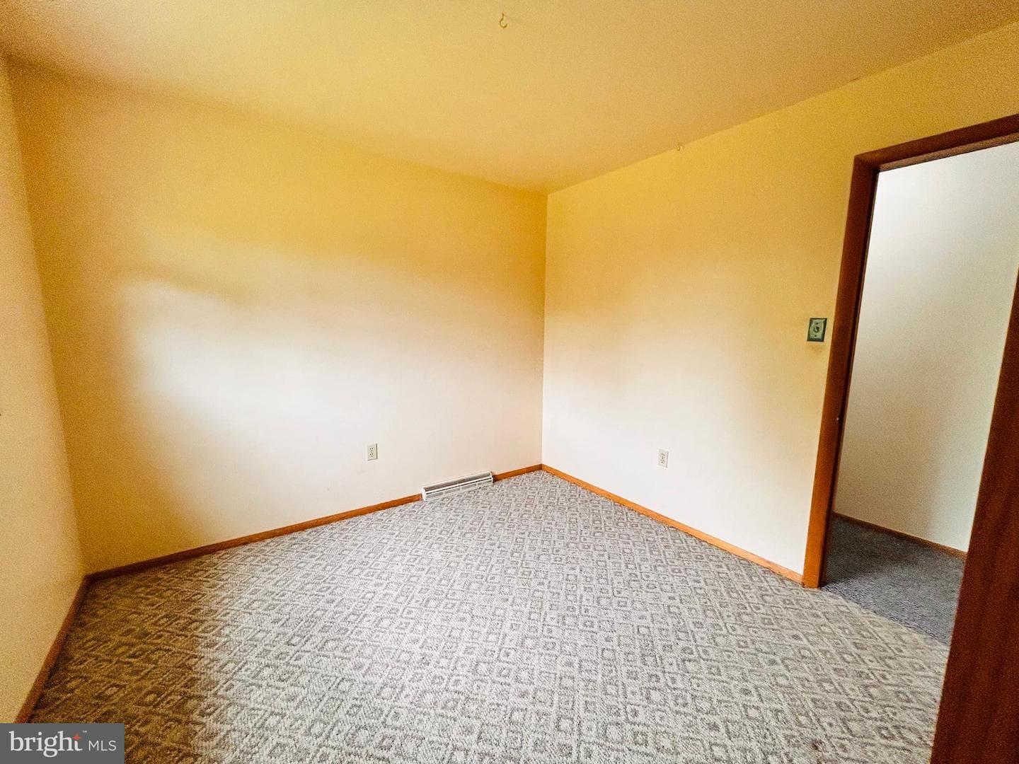 215 Brown Avenue photo 17