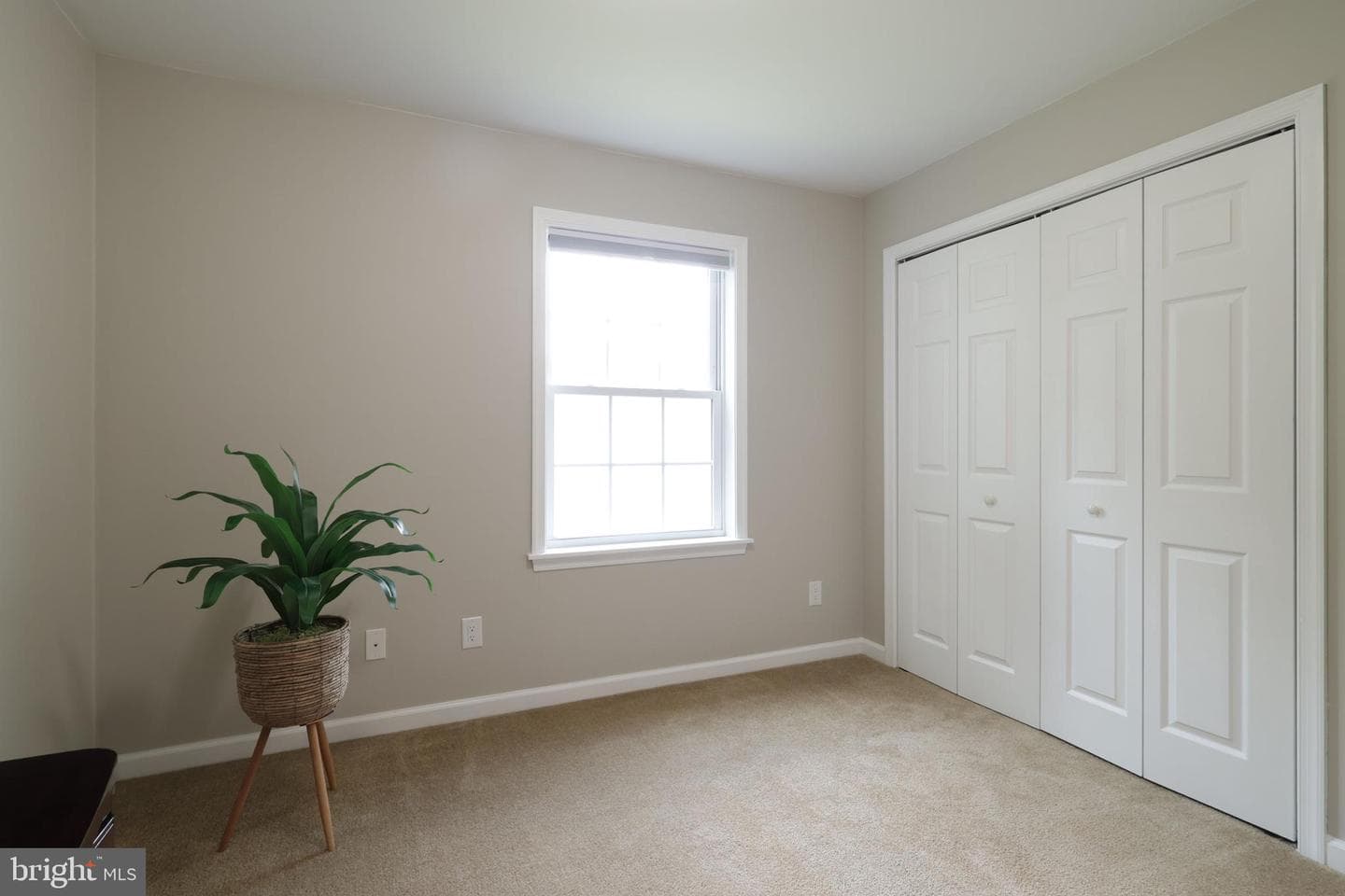 251 Timberwood Trail photo 47