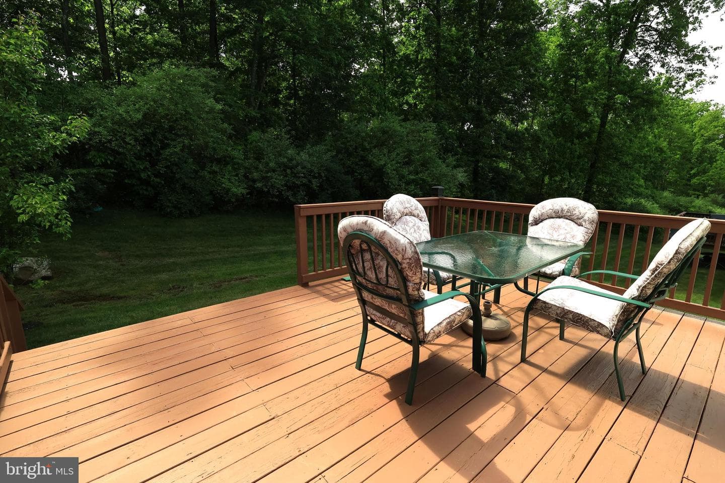 251 Timberwood Trail photo 50
