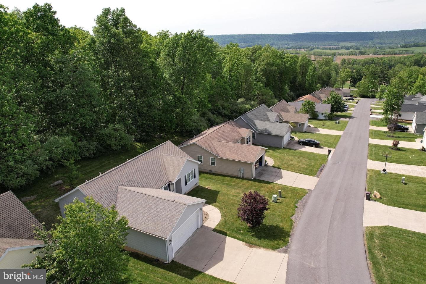 251 Timberwood Trail photo 53