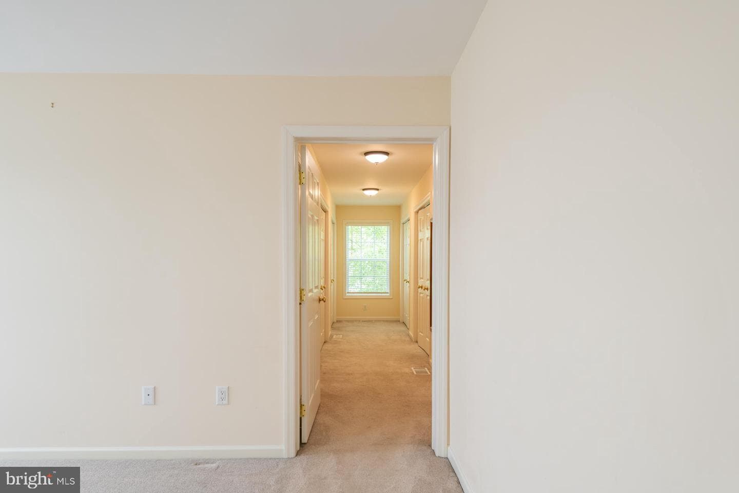 2344 Prairie Rose Lane photo 38