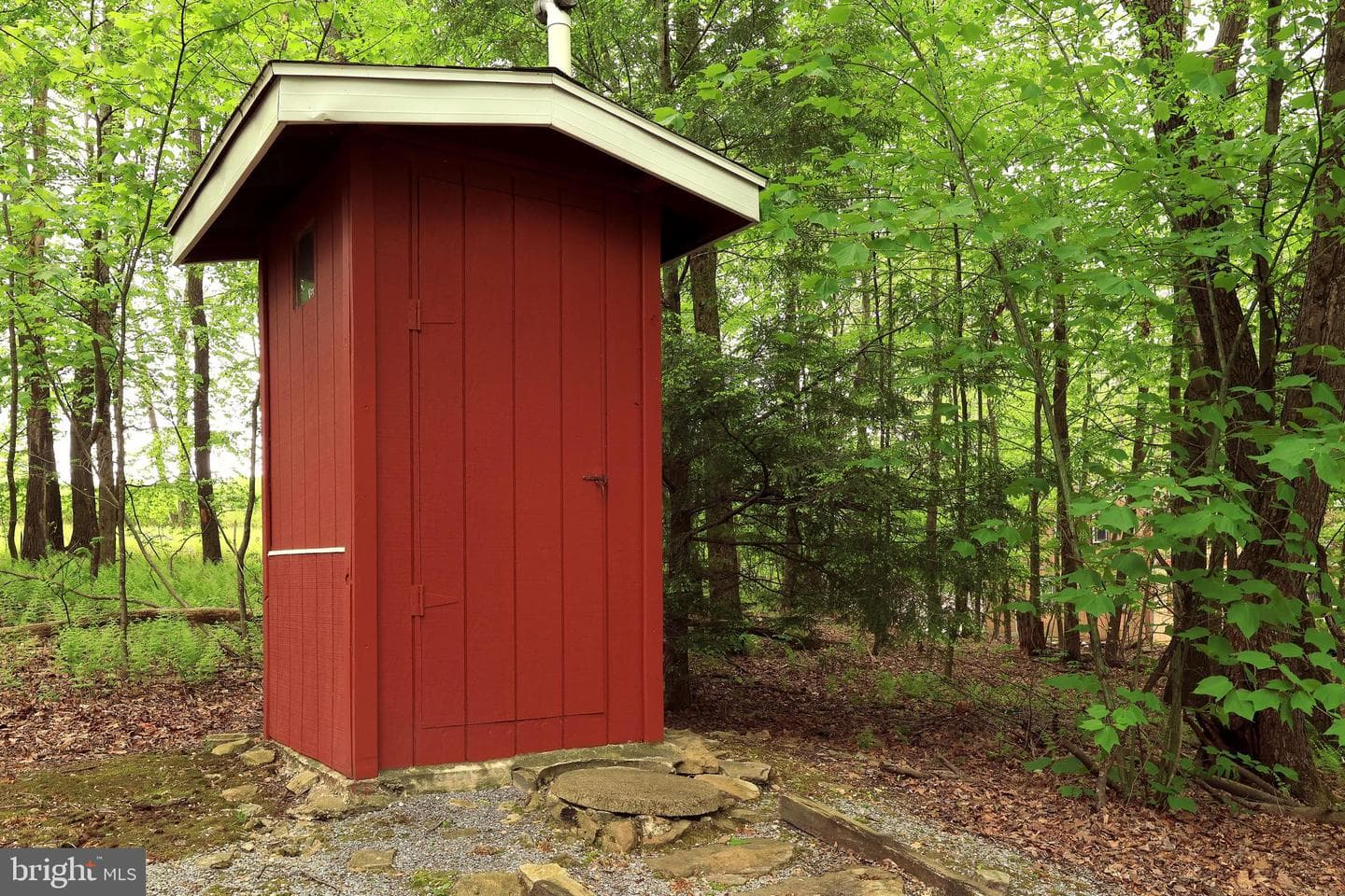 299 Snow Shoe Mountain Forest Road photo 19
