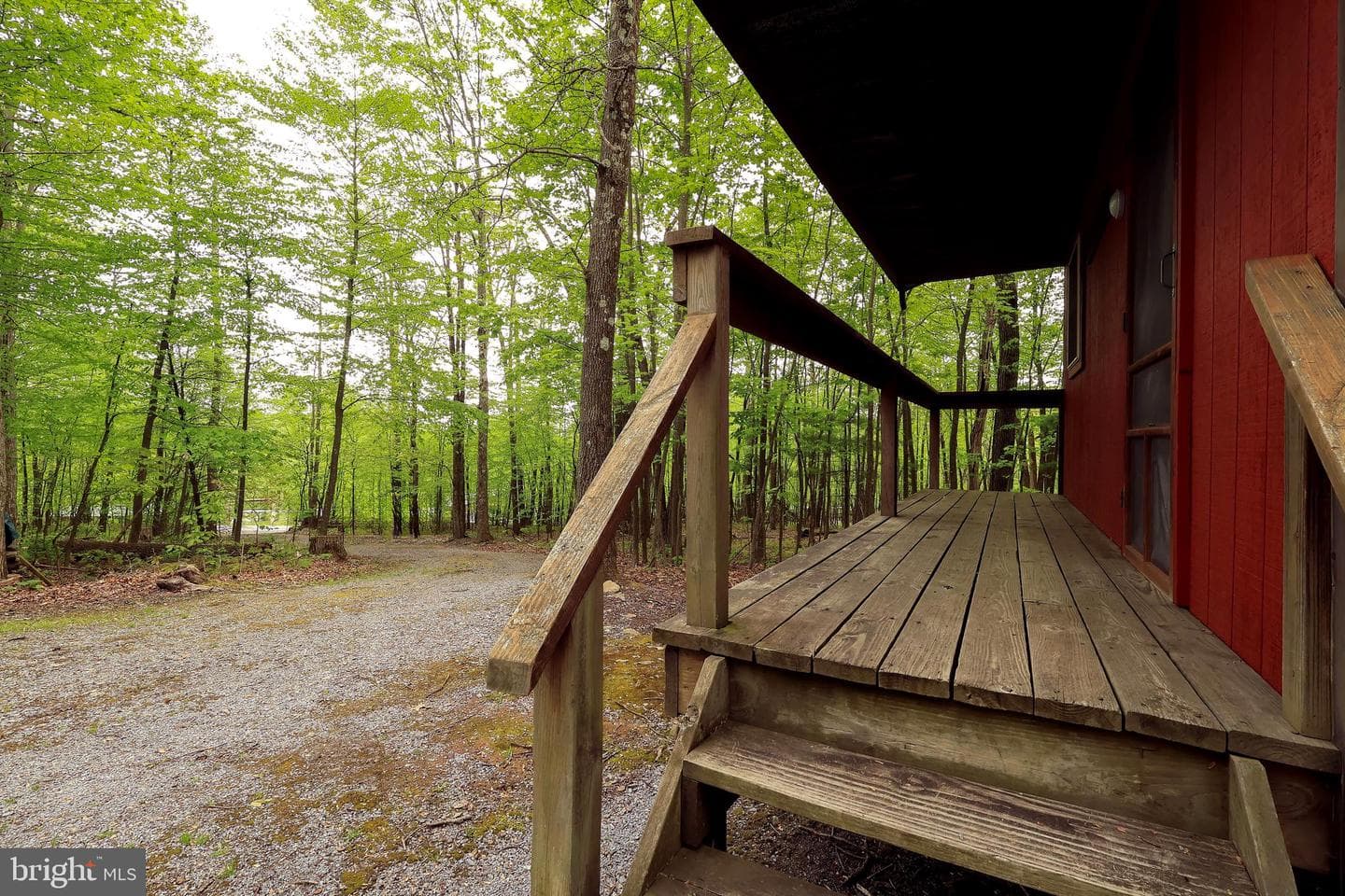 299 Snow Shoe Mountain Forest Road photo 23