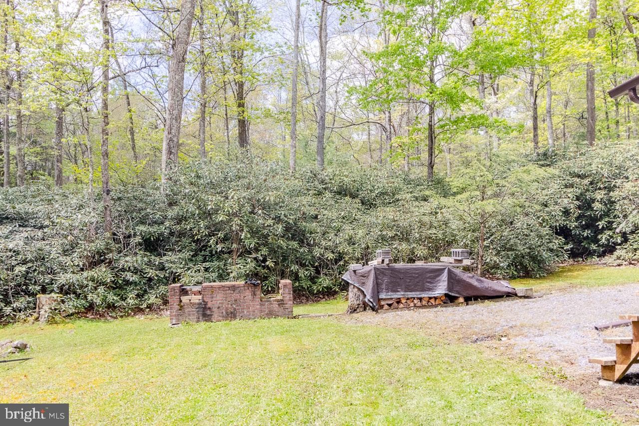 556 Treaster Kettle Road photo 15