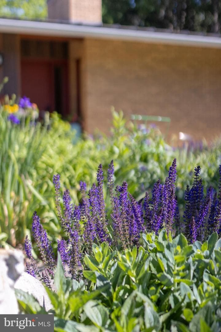 705 E Curtin Street photo 7