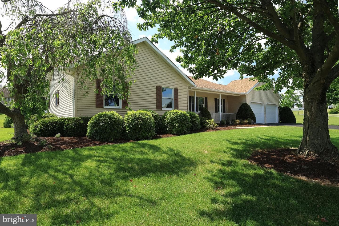 1110 E Springfield Drive photo 3