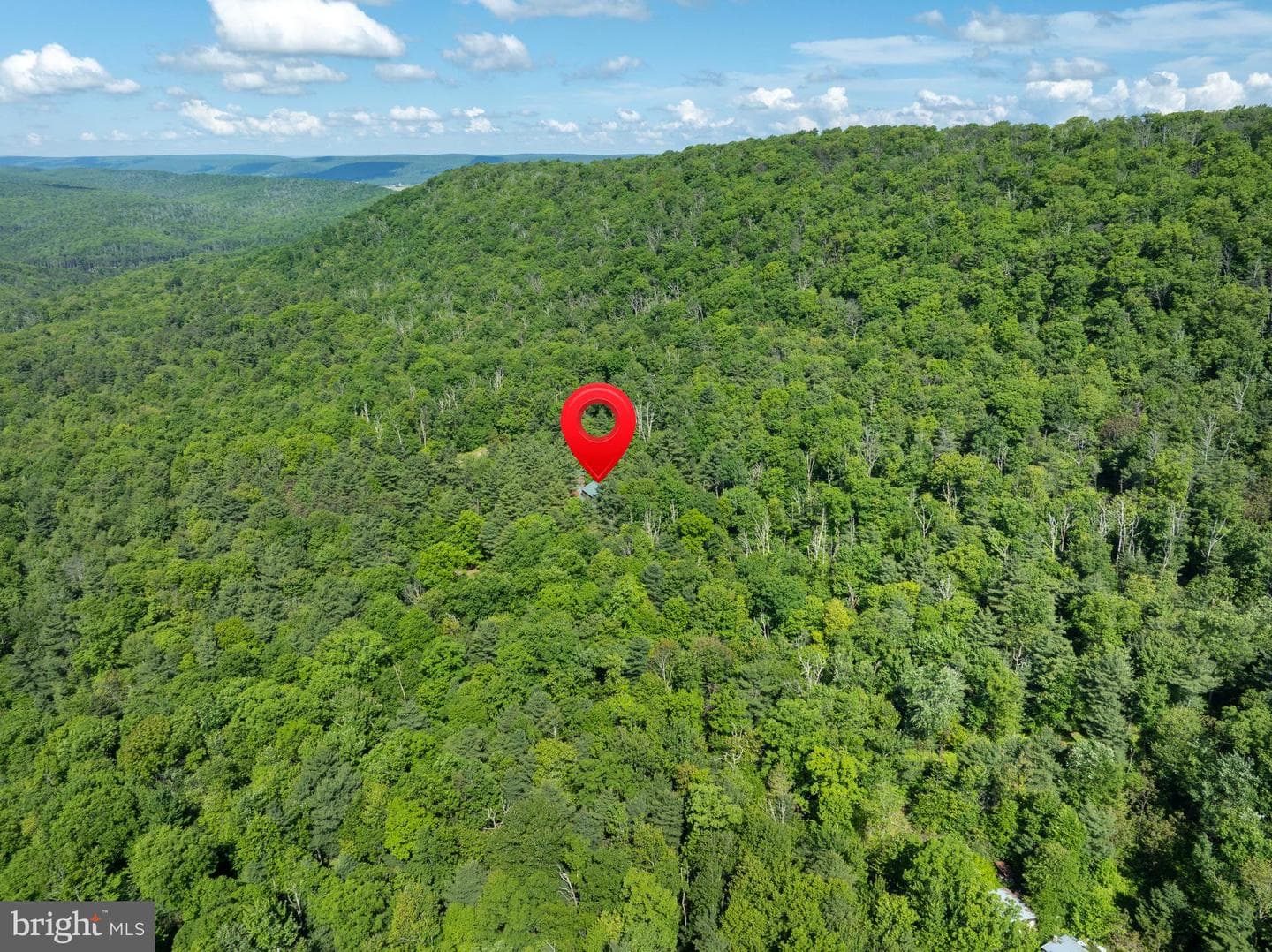 385 Elk Creek Road photo 6