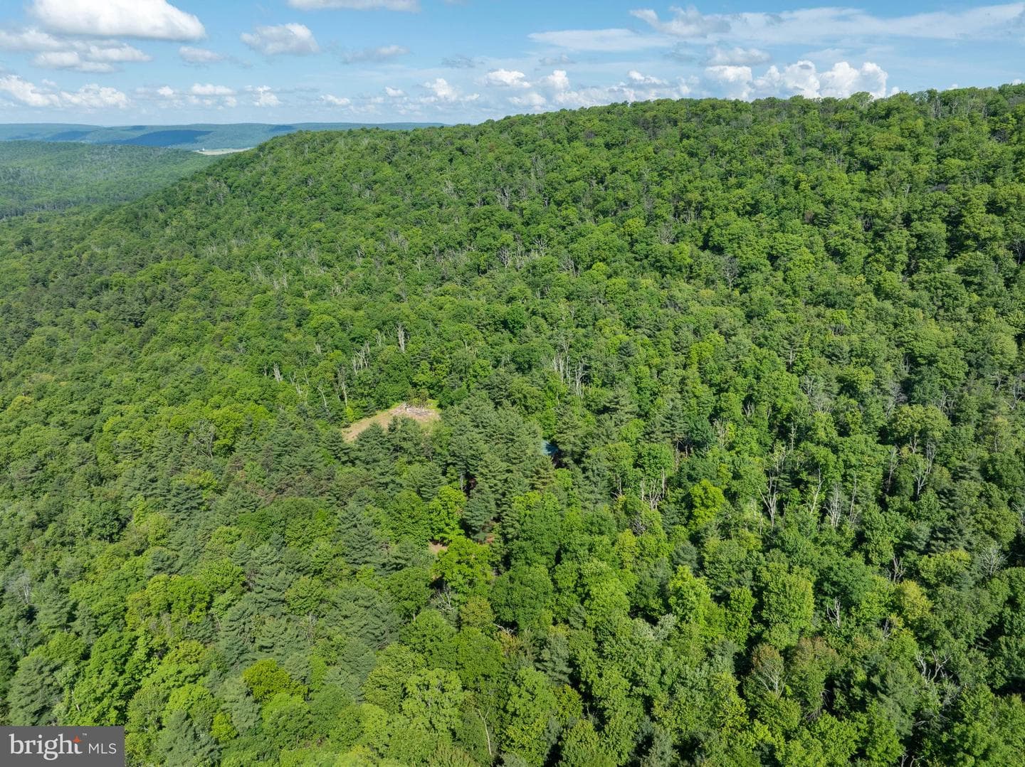 385 Elk Creek Road photo 67