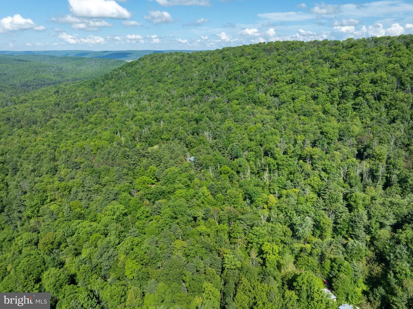 385 Elk Creek Road photo 69