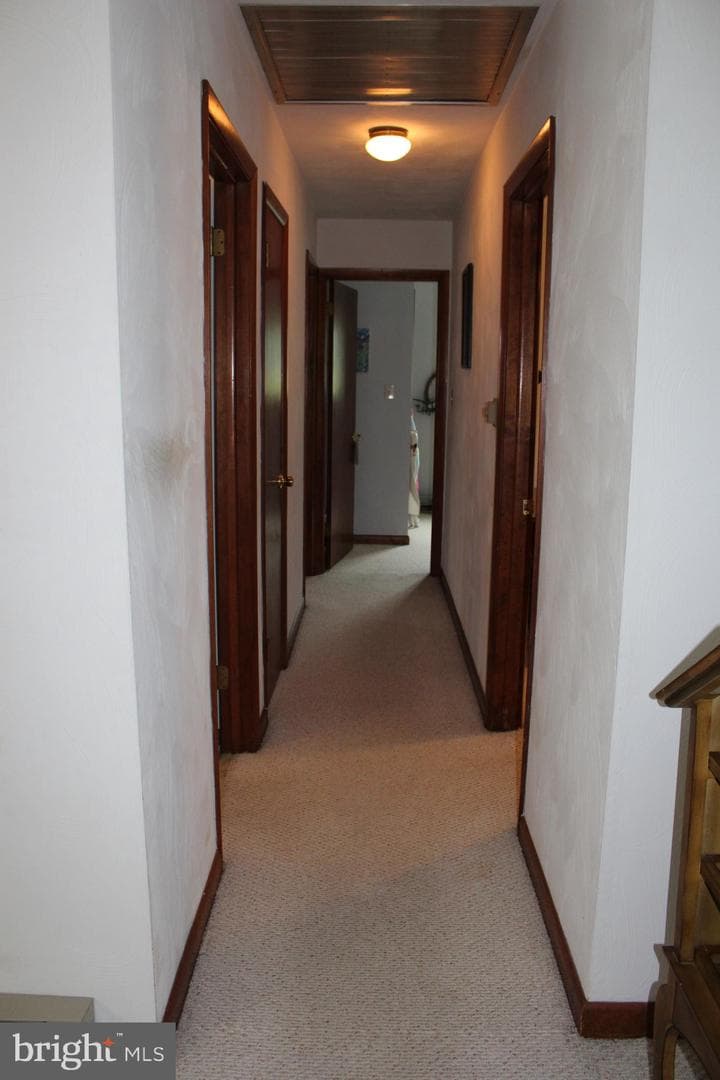 1219 Blue Spruce Drive photo 27
