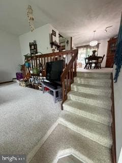 1219 Blue Spruce Drive photo 40