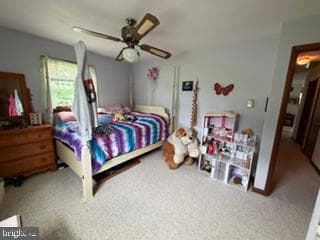 1219 Blue Spruce Drive photo 44