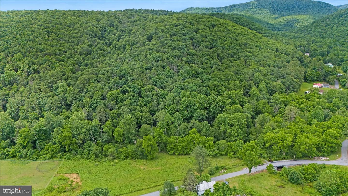 198 Gum Stump Road photo 5