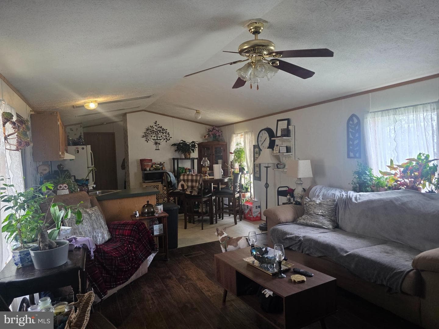 134 Primrose Lane photo 19