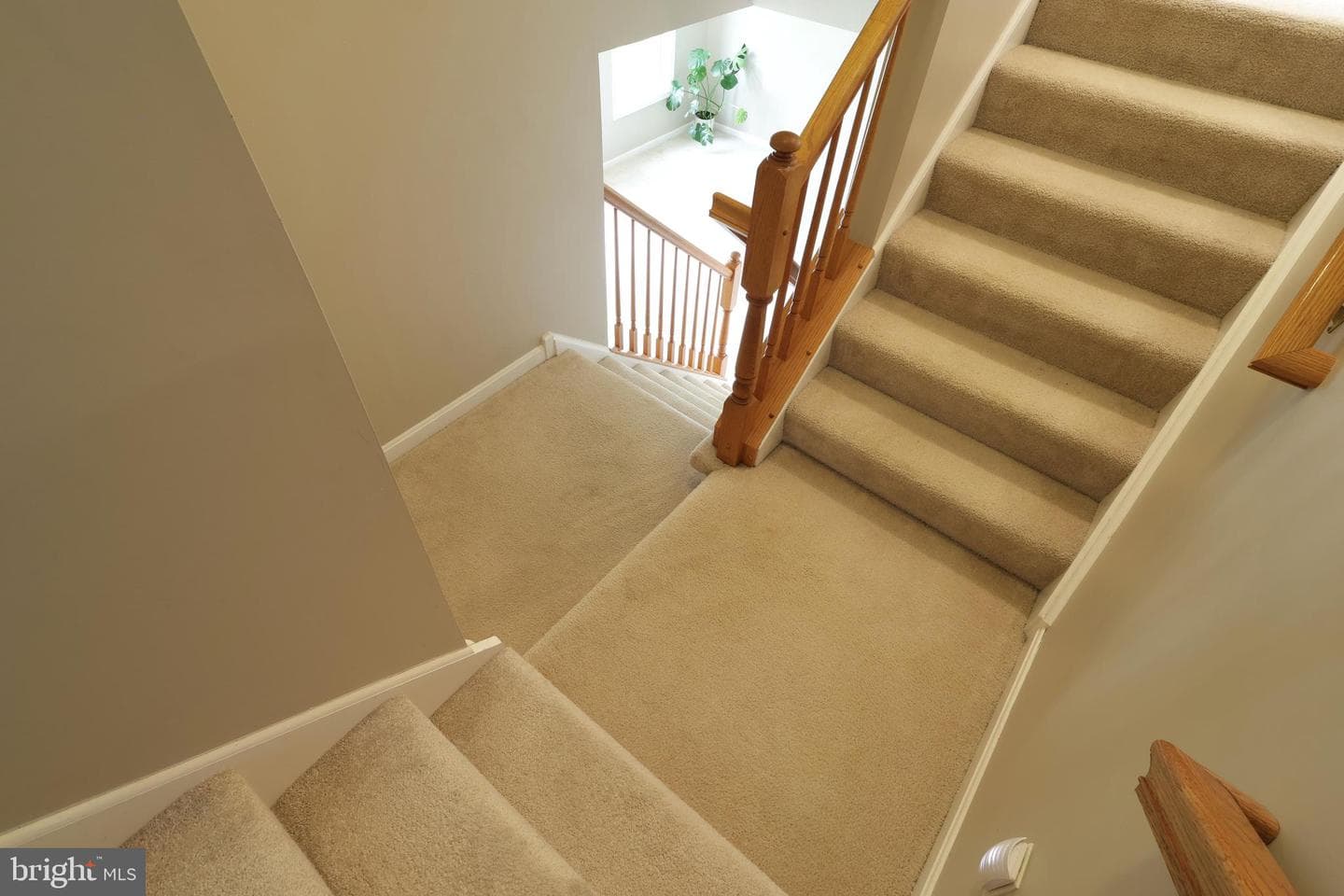 2397 Quail Run Road photo 37