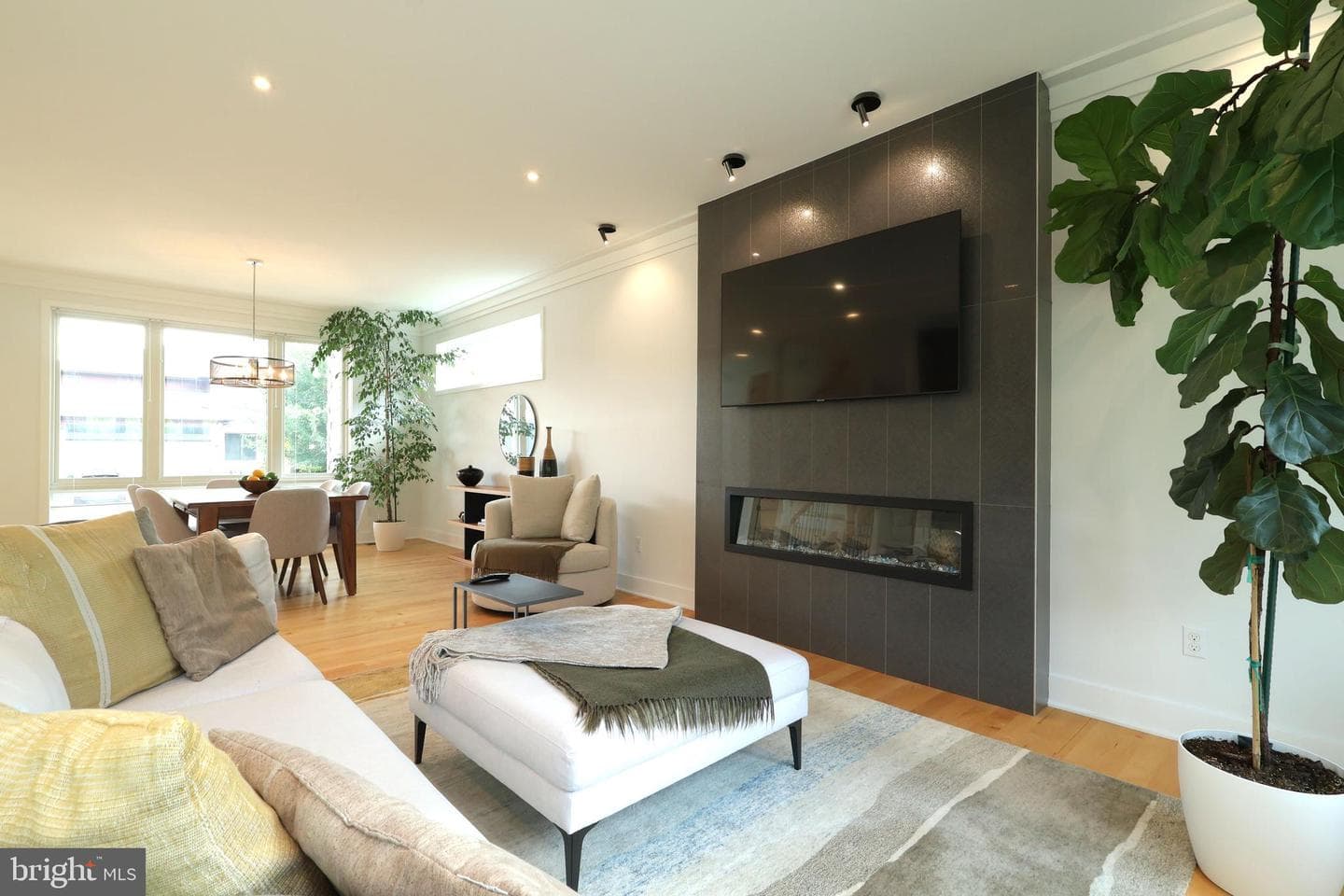 233 Derek Drive photo 15