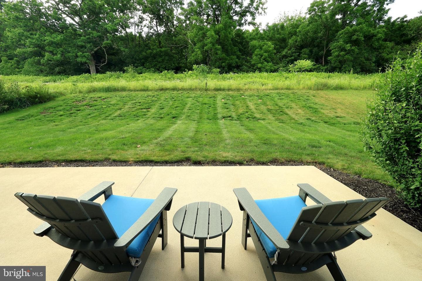 233 Derek Drive photo 64