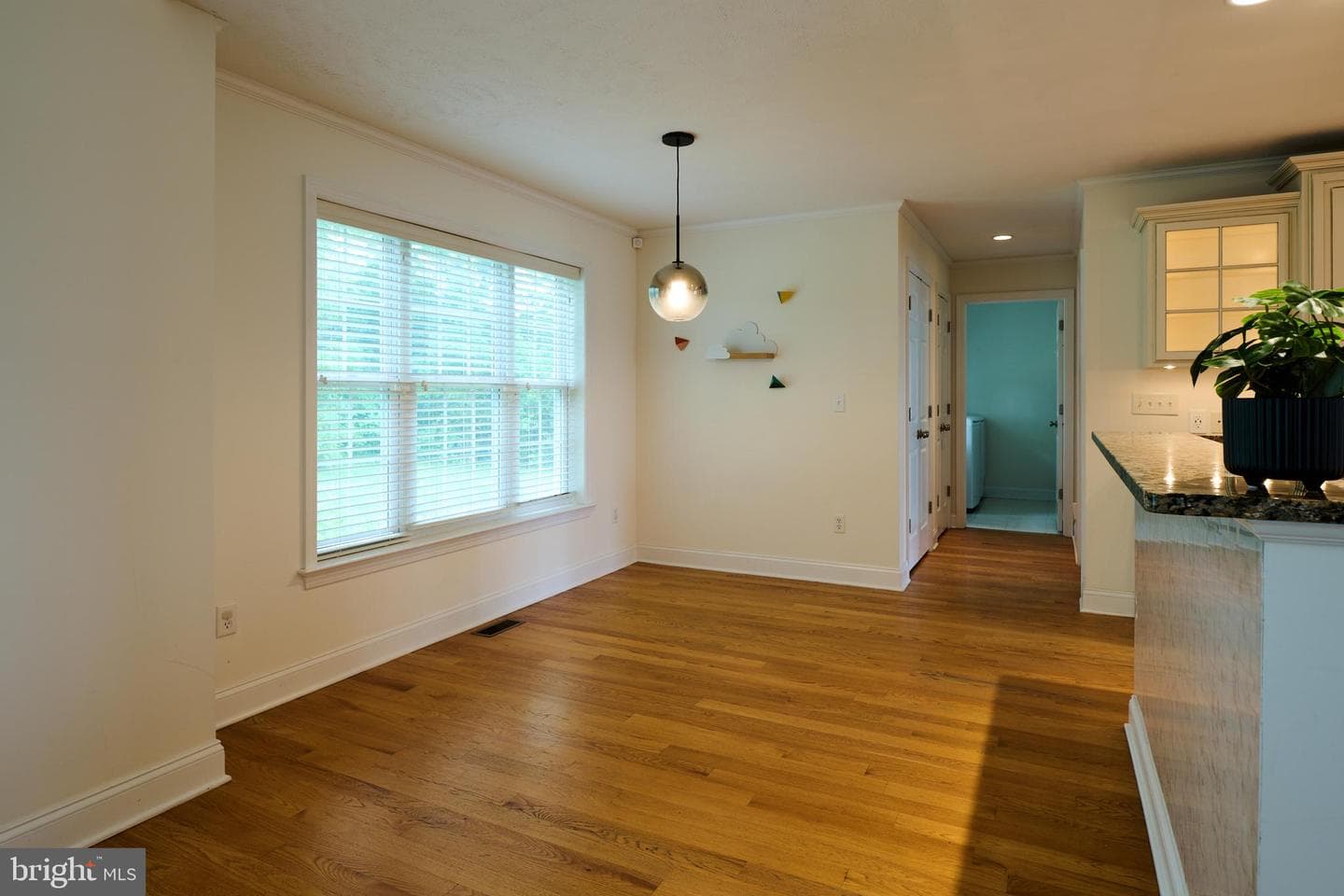 248 Ivy Hill Drive photo 22