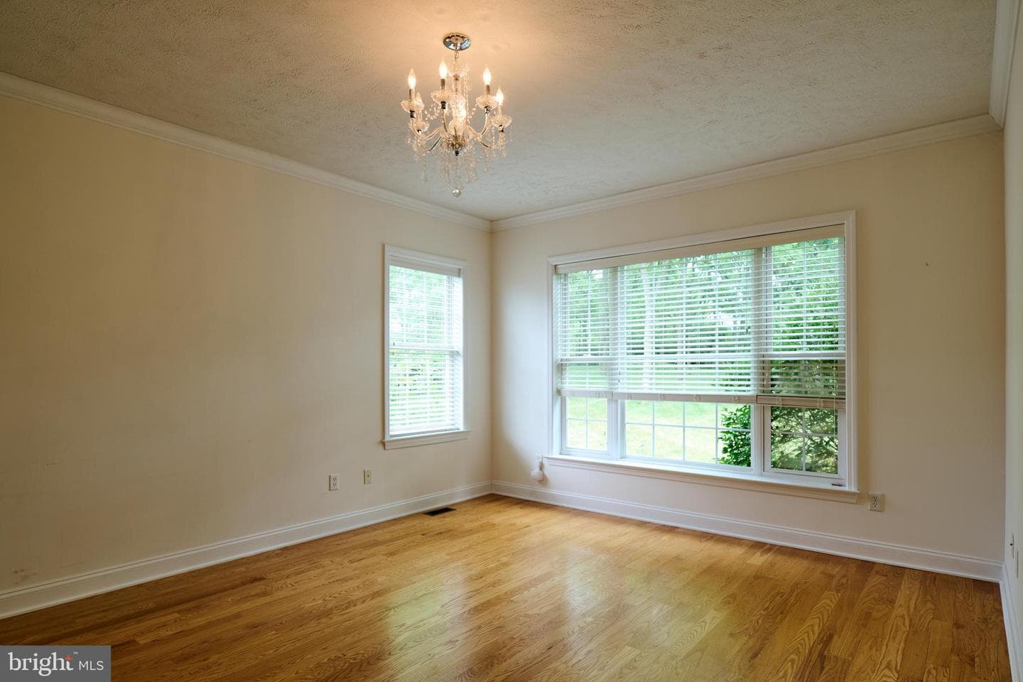 248 Ivy Hill Drive photo 28
