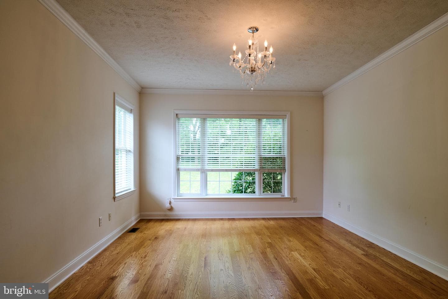 248 Ivy Hill Drive photo 29
