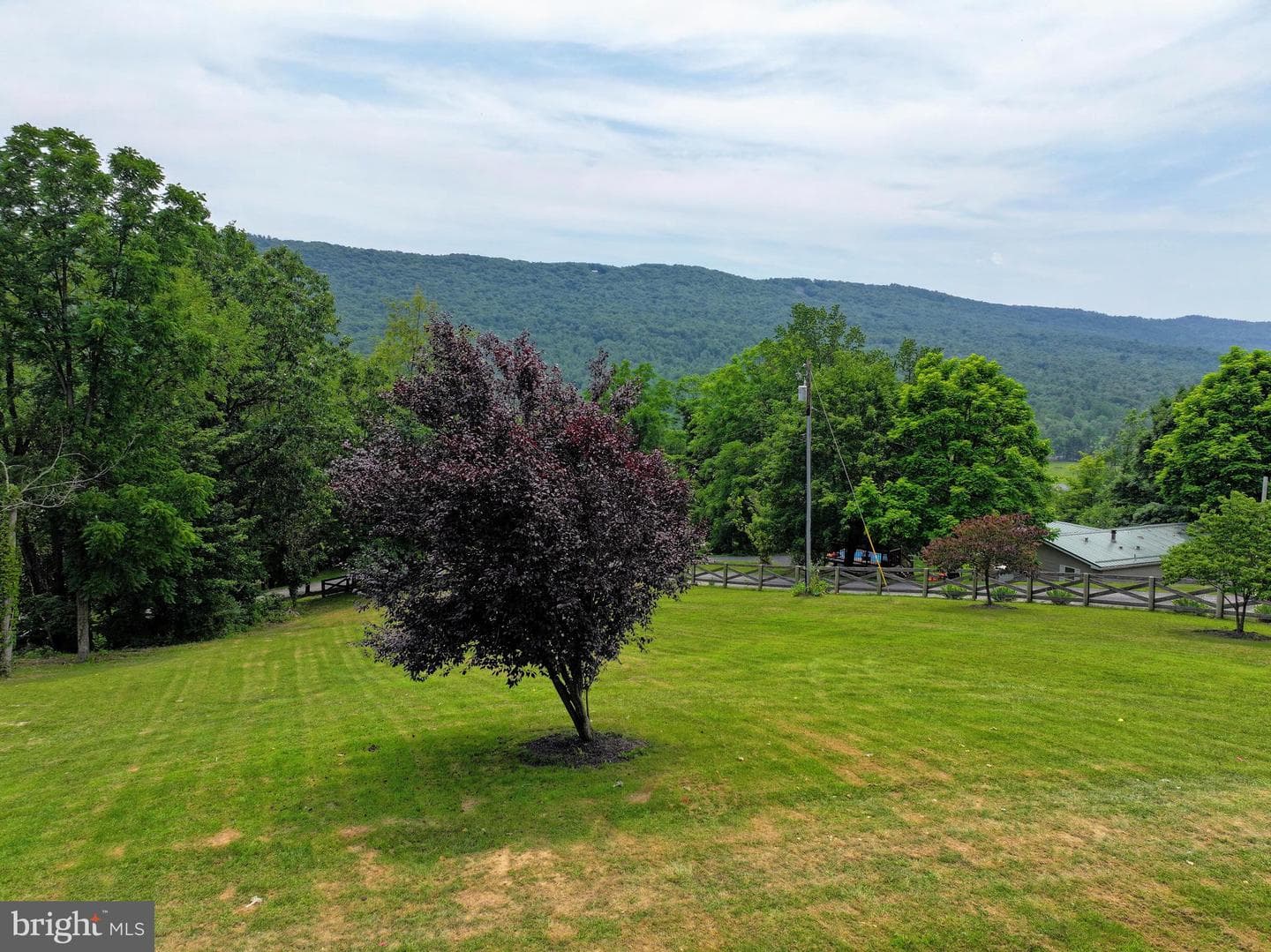 111 Hill Street photo 76