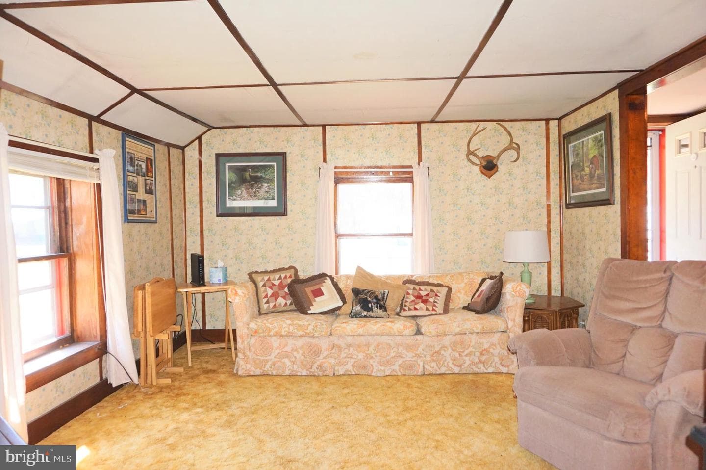 37 Ruby Lane photo 8